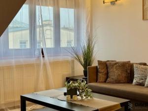 Pronájem atypického bytu, Brno - Veveří, Gorkého, 61 m2