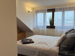 Pronájem atypického bytu, Brno - Veveří, Gorkého, 61 m2