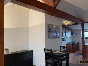 Pronájem atypického bytu, Brno - Veveří, Gorkého, 61 m2