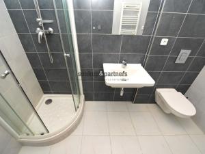 Pronájem bytu 1+kk, Praha - Kamýk, U Kamýku, 31 m2