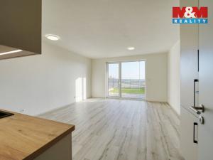 Pronájem bytu 1+kk, Plzeň, 45 m2