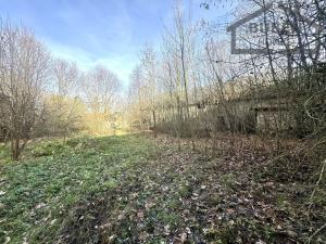 Prodej pozemku pro bydlení, Stráž - Olešná, 10472 m2