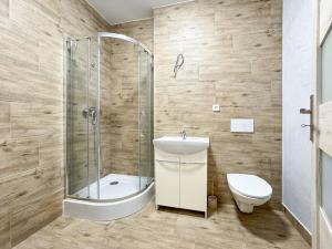 Pronájem bytu 2+kk, Janovice nad Úhlavou, Rozvojová zóna, 46 m2