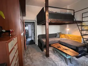 Prodej bytu 1+1, Karlovy Vary, Foersterova, 32 m2