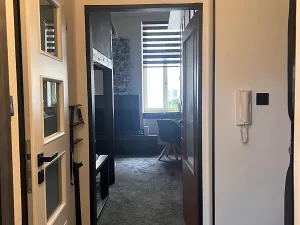 Prodej bytu 1+1, Karlovy Vary, Foersterova, 32 m2