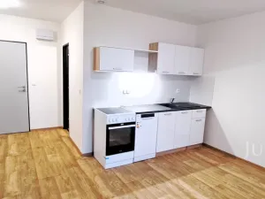 Pronájem bytu 1+kk, Čížová - Topělec, 25 m2