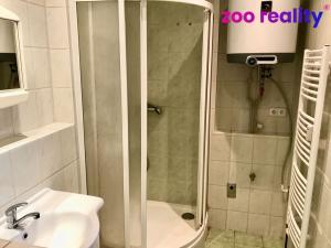 Pronájem bytu 1+1, Přerov, Kratochvílova, 53 m2