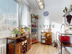 Prodej bytu 2+1, České Budějovice, J. Opletala, 62 m2