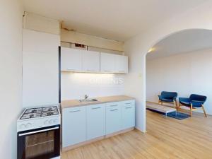 Pronájem bytu 1+1, Most, Javorová, 36 m2