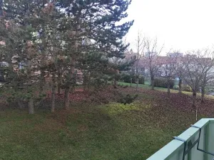 Pronájem bytu 3+1, Brno, Vondrákova, 73 m2