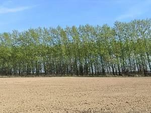 Prodej zahrady, Doubravčice, 7161 m2