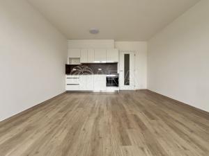 Pronájem bytu 1+kk, Brno - Horní Heršpice, Jižní, 34 m2