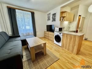 Pronájem bytu 1+kk, Ústí nad Labem, Střekovské nábřeží, 29 m2