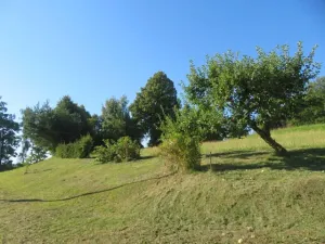 Dražba louky, Opatov, 2916 m2