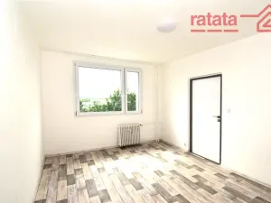 Pronájem bytu 1+1, Chomutov, Jirkovská, 36 m2