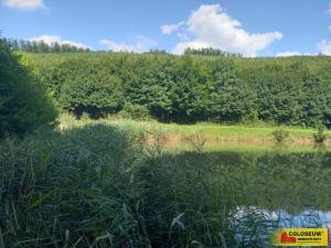 Prodej pozemku pro bydlení, Lovčice, 1232 m2