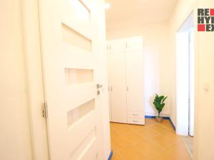 Pronájem bytu 1+1, Liberec - Liberec XII-Staré Pavlovice, Letná, 40 m2