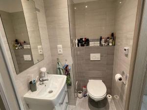 Pronájem bytu 1+kk, Šumperk, Bludovská, 36 m2