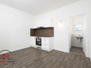 Pronájem bytu 1+kk, Ostrava, Palackého, 26 m2