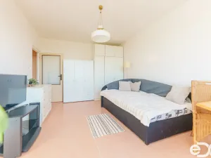 Prodej bytu 2+1, Praha, Olbramovická, 57 m2