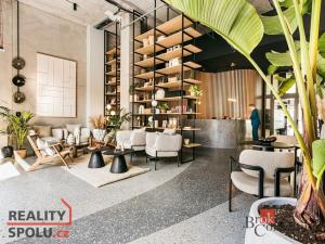 Pronájem bytu 1+kk, Brno - Zábrdovice, Bratislavská, 30 m2