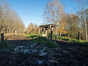 Pronájem - jiné, Markvartovice, 111 m2