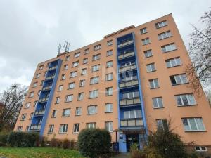 Pronájem komerční nemovitosti, Třinec, Pod břehem, 36 m2