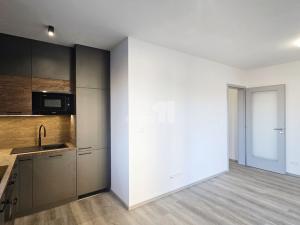 Pronájem bytu 1+kk, Kutná Hora, Plk. Loudy, 30 m2