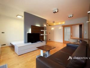 Pronájem bytu 1+kk, Brno, Kopečná, 39 m2