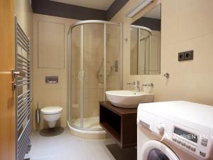 Pronájem bytu 1+kk, Brno, Kopečná, 39 m2