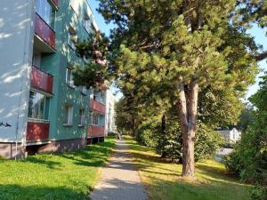 Pronájem bytu 1+kk, Valašské Meziříčí, Vsetínská, 24 m2