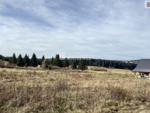 Prodej pozemku pro bydlení, Abertamy, Plešivecká, 836 m2