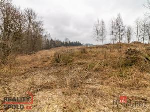 Prodej pozemku pro bydlení, Pěčín, 9989 m2