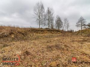 Prodej pozemku pro bydlení, Pěčín, 9989 m2