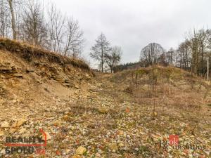Prodej pozemku pro bydlení, Pěčín, 9989 m2