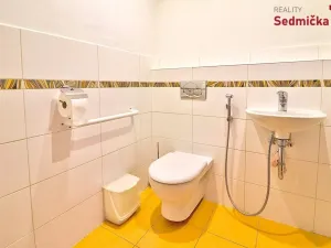 Prodej rodinného domu, Věcov, 318 m2