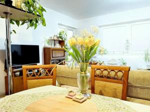 Prodej bytu 2+kk, Praha - Vysočany, Spojovací, 64 m2