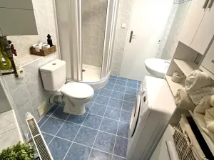 Pronájem bytu 1+kk, Praha - Hostivař, Dolnoměcholupská, 24 m2