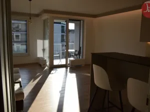 Pronájem bytu 1+kk, Ostrava, F. X. Riepla, 44 m2