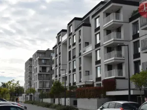 Pronájem bytu 1+kk, Ostrava, F. X. Riepla, 44 m2