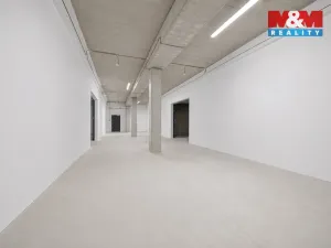 Pronájem skladu, Cheb, Karlova, 2200 m2