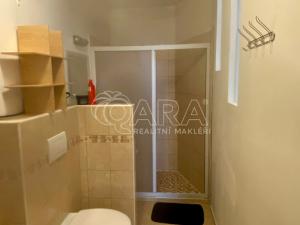 Prodej bytu 2+kk, Plzeň - Skvrňany, Křimická, 38 m2