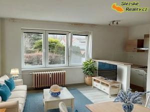 Pronájem bytu 1+kk, Ostrava, Krakovská, 22 m2