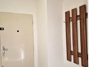 Pronájem bytu 1+kk, Ostrava, Krakovská, 22 m2