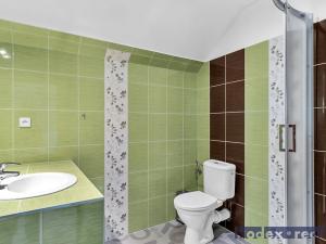 Prodej rodinného domu, Hradec Králové, U Jednoty, 300 m2