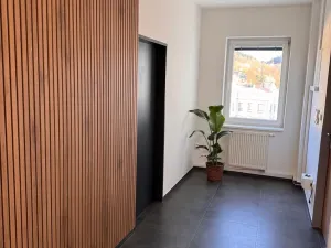 Pronájem obchodního prostoru, Jablonec nad Nisou, Komenského, 19 m2