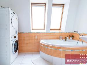 Pronájem bytu 3+kk, Olomouc, Na Tabulovém vrchu, 95 m2