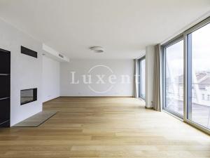 Pronájem bytu 4+kk, Praha, Holečkova, 212 m2