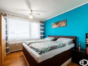 Prodej bytu 3+1, Tábor, U Cihelny, 64 m2