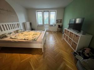 Pronájem bytu 1+1, Praha - Podolí, Jeremenkova, 28 m2